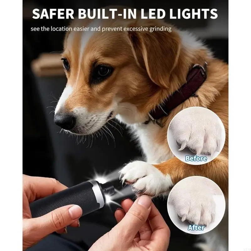 Pet nail Grinder