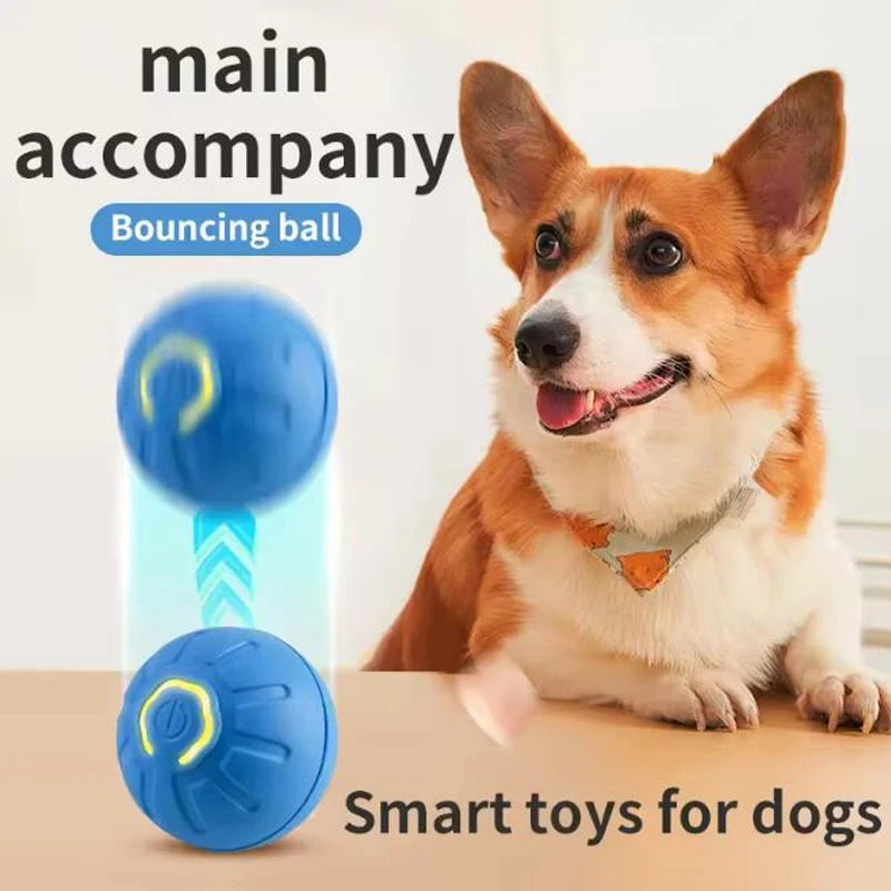 Interactive Smart Rolling Ball