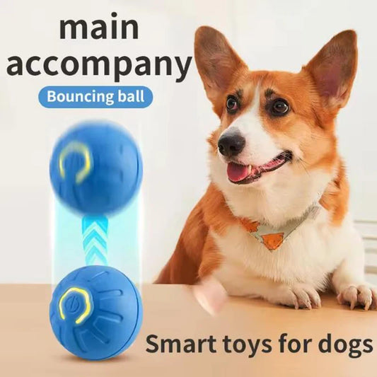 Interactive Smart Rolling Ball