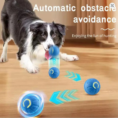 Interactive Smart Rolling Ball